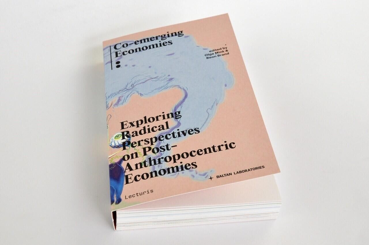 Book launch Co-emerging Economies 