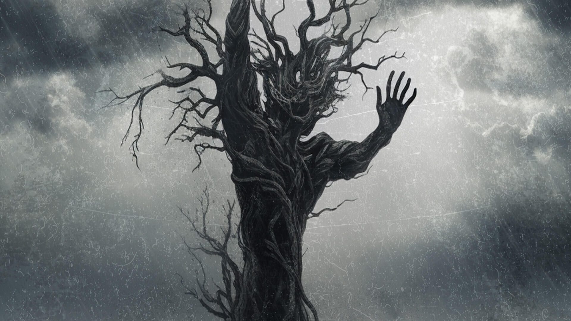 In the Woods + Saturnus + THE FORESHADOWING