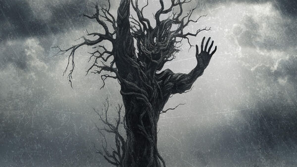 In the Woods + Saturnus + THE FORESHADOWING