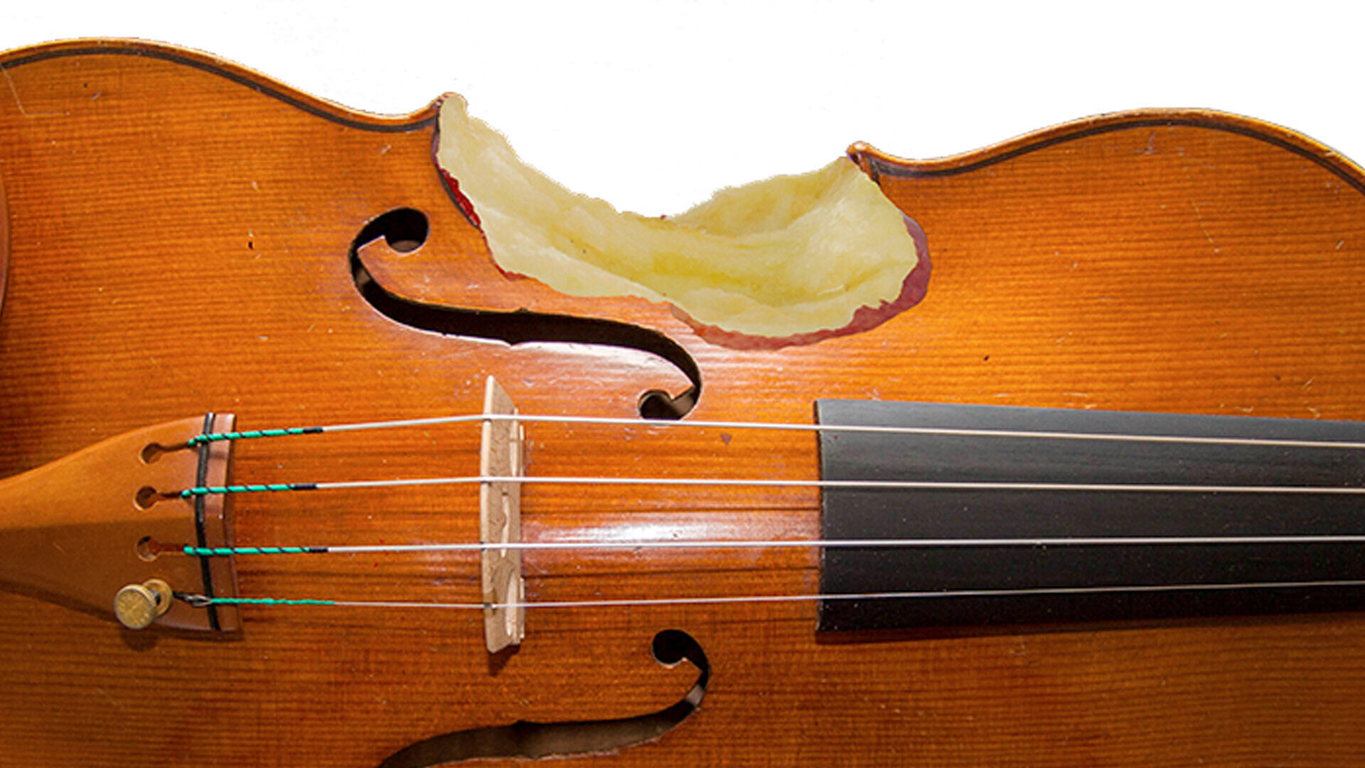 Lunchconcert: String Quartet from Fontys