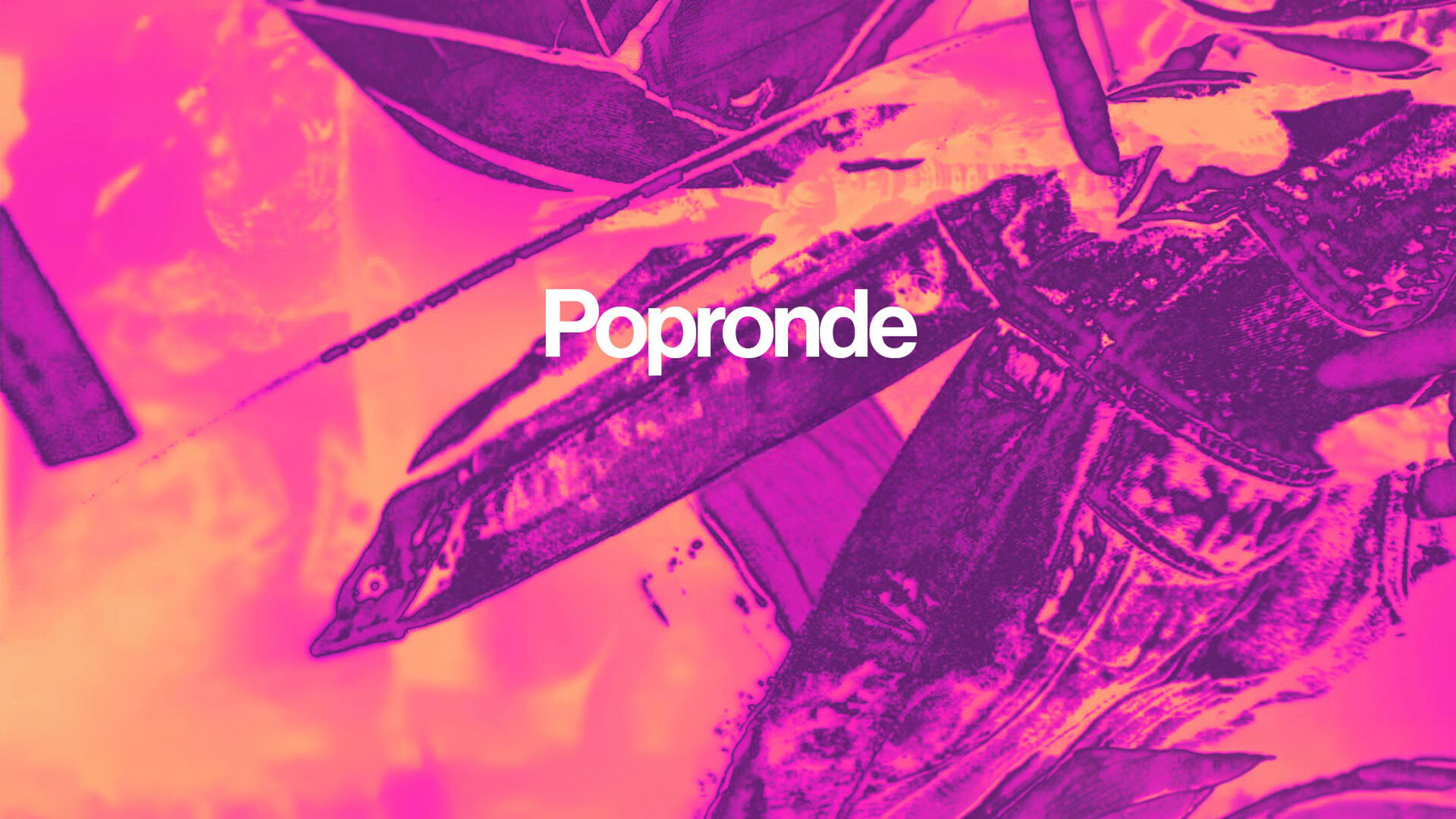 Popronde, Poppodium