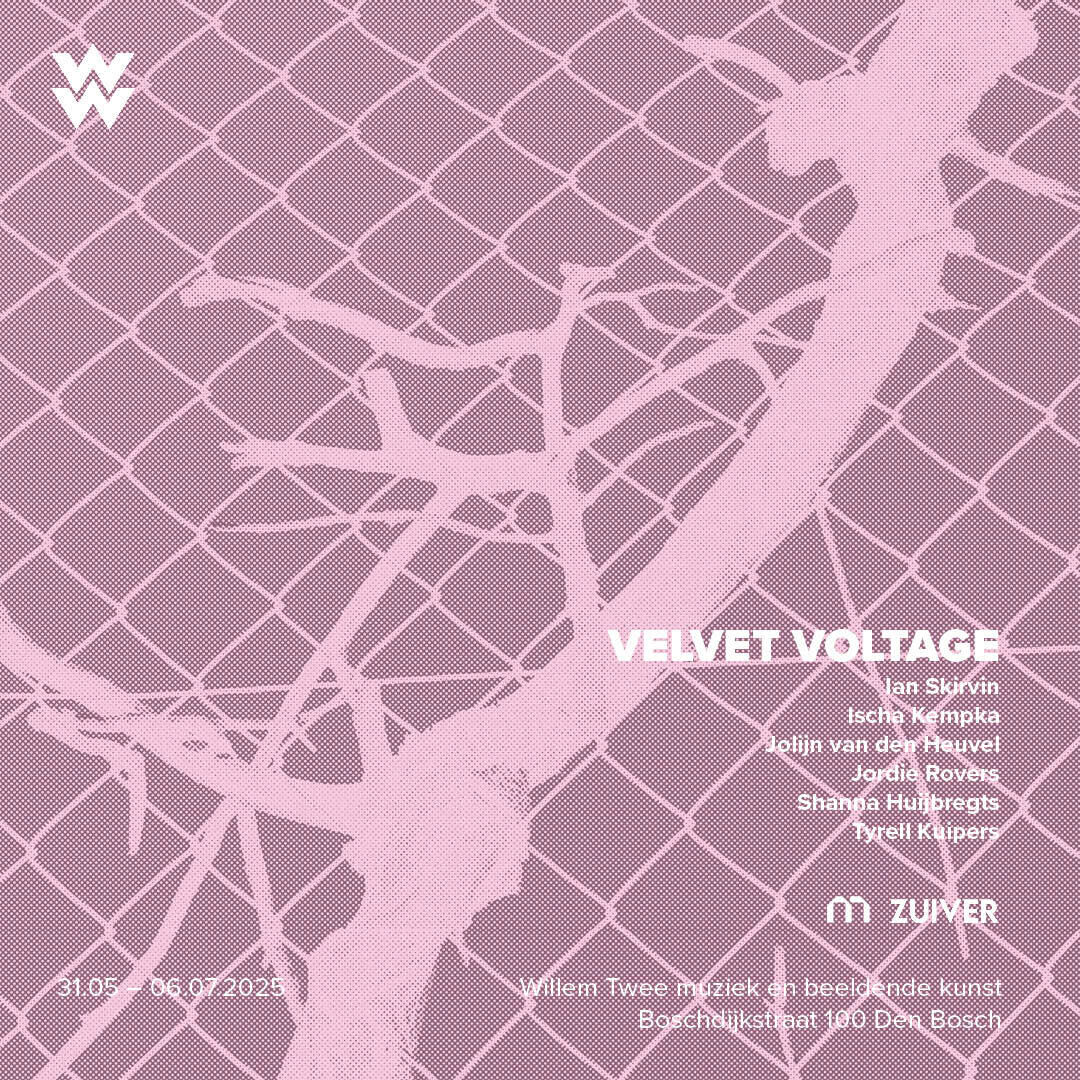 Velvet Voltage