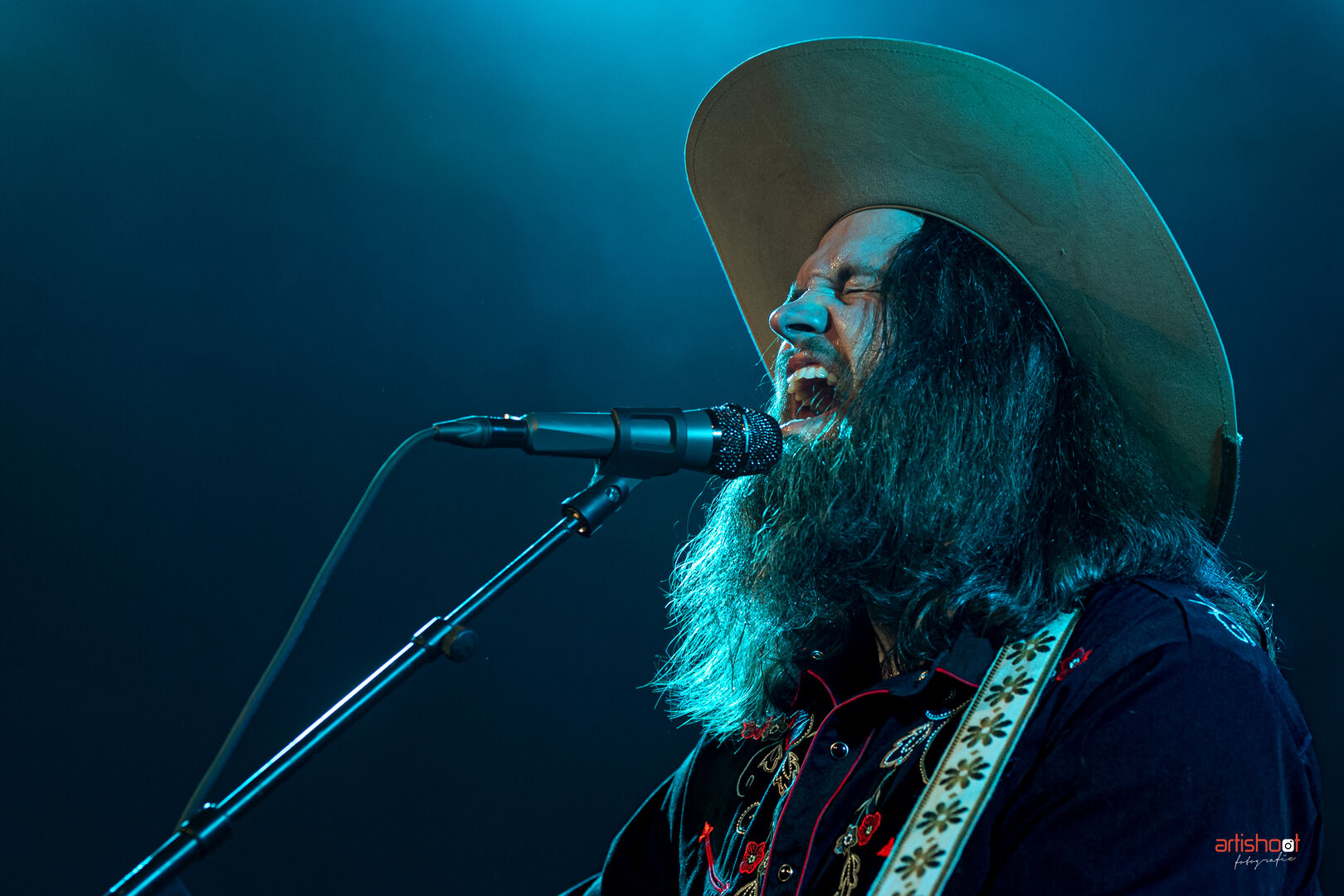 Voltage Fortunes and Willows 2LP