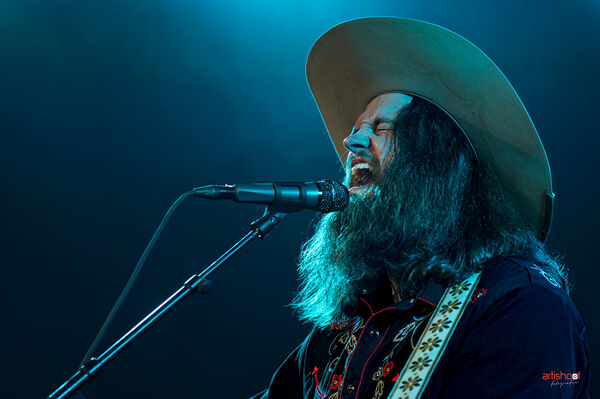 Voltage Fortunes and Willows 2LP