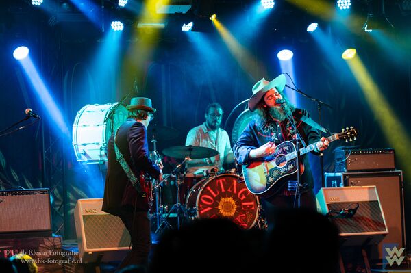 Voltage Fortunes Willows