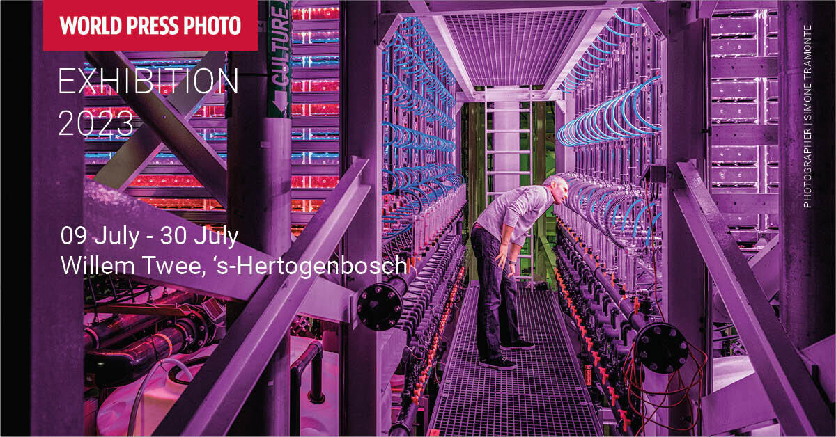 WPPh2023: Summer Lectures